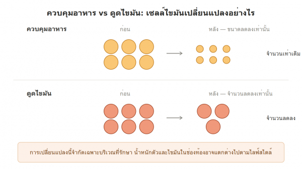 beded2745b14a1a260b1bd6272aeb845_1788769447_657.png